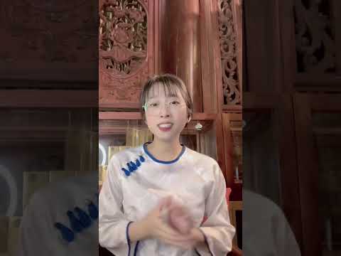 대라천 침향 · 침향단 — 베트남 현지 가공 전 공정 (NTV 방송)