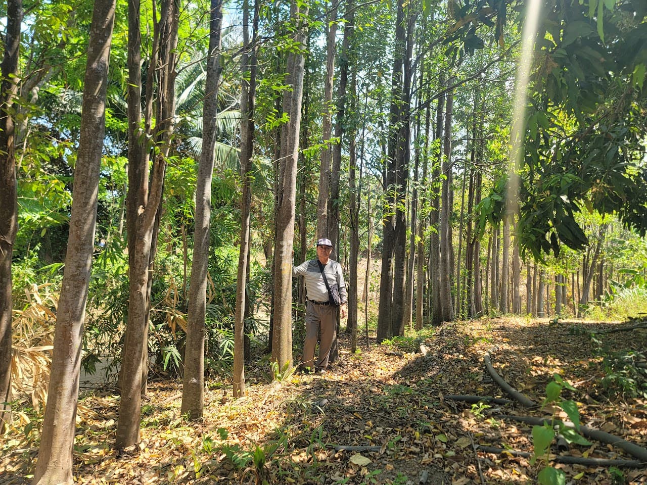 기보단 (氣寶丹)